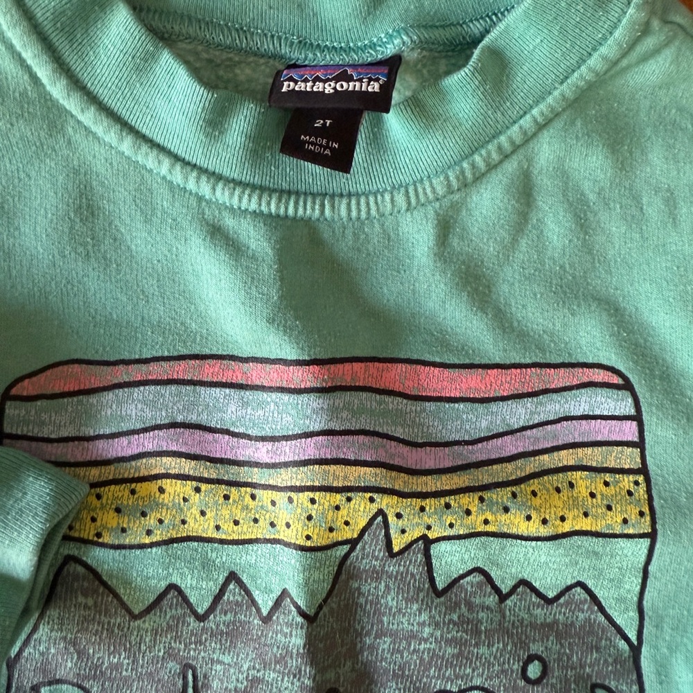 Patagonia Baby Crewneck Sweatshirt